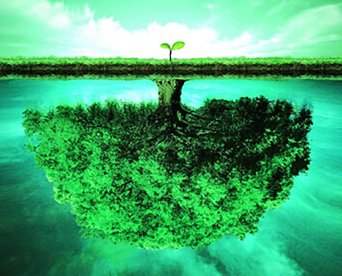 1526178252505710.jpg 內(nèi).jpg