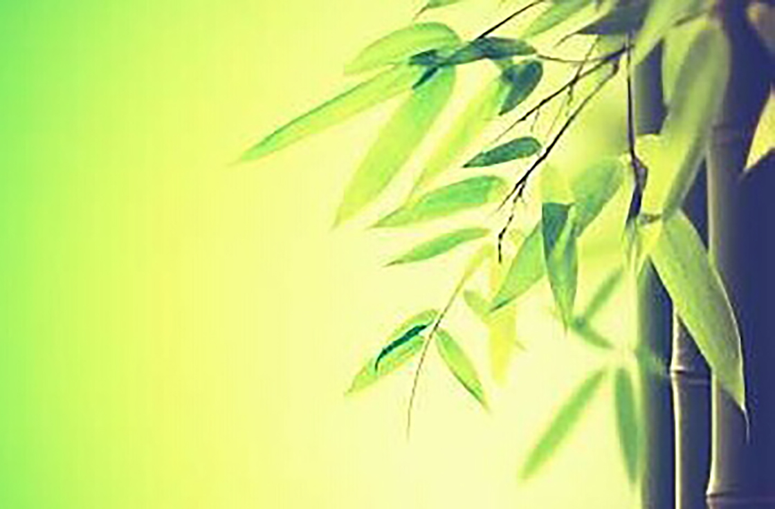 1526179667163949.jpg 內(nèi).jpg