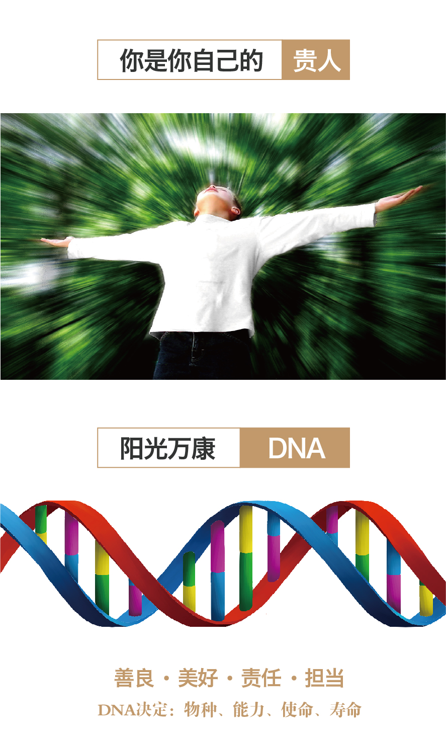 1667029292290758.jpg 顧總-思想火花-02.jpg