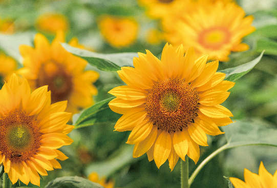 1667914223258406.jpg 美好生活-09.jpg