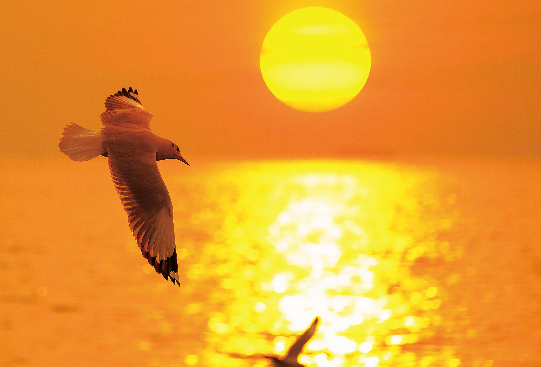 1667965438186659.jpg 1422-09.jpg